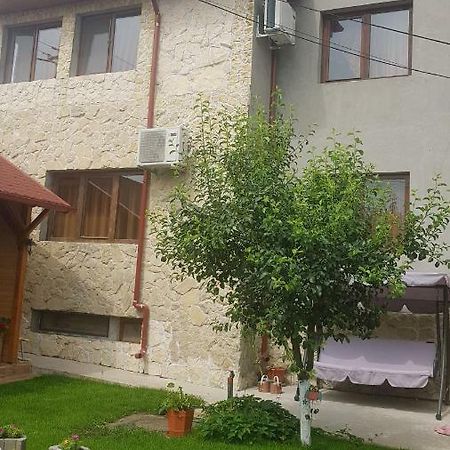 Casa Andrei Techirghiol Hotel Ngoại thất bức ảnh