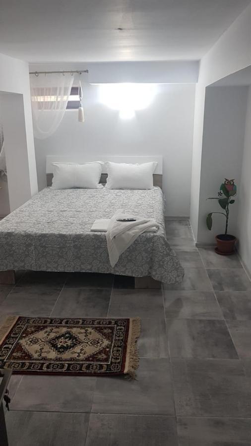 Casa Andrei Techirghiol Hotel Ngoại thất bức ảnh