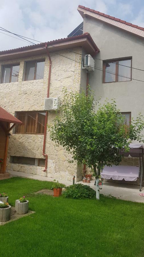 Casa Andrei Techirghiol Hotel Ngoại thất bức ảnh